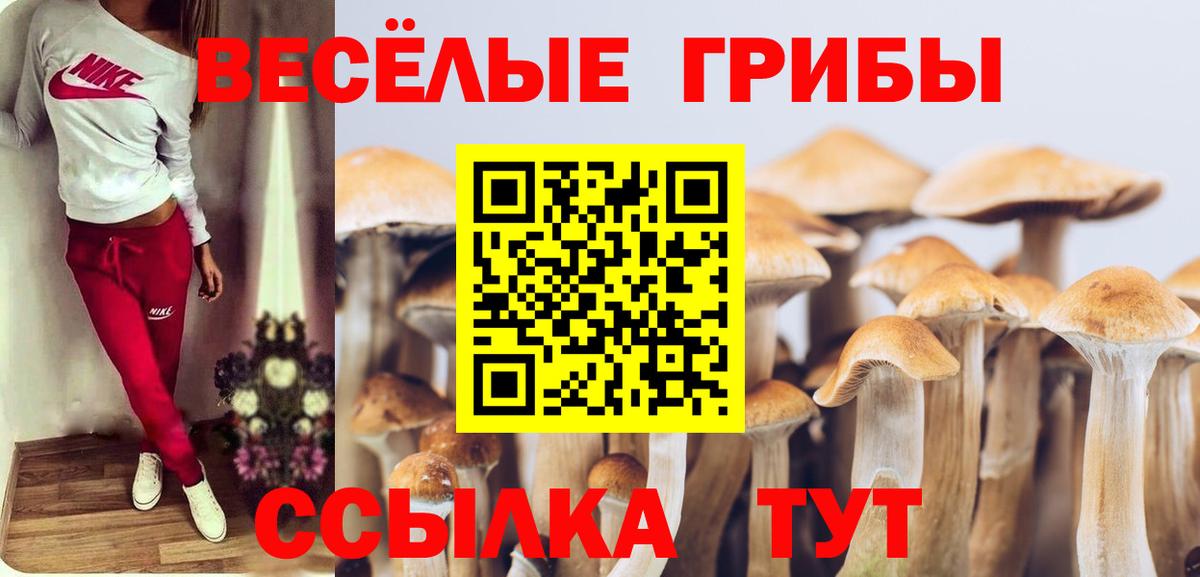 Кушва  Псилоцибиновые грибы прущие грибы  Псилоцибиновые грибы MAGIC MUSHROOMS  Вход с VPN 